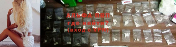 ПСИЛОЦИБИНОВЫЕ ГРИБЫ Волоколамск