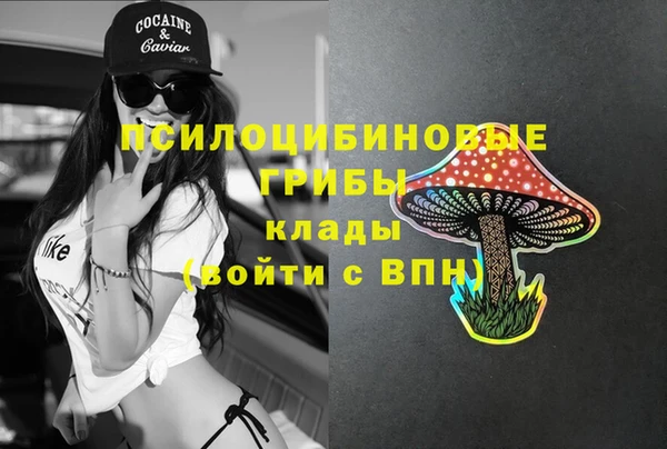 ПСИЛОЦИБИНОВЫЕ ГРИБЫ Волоколамск