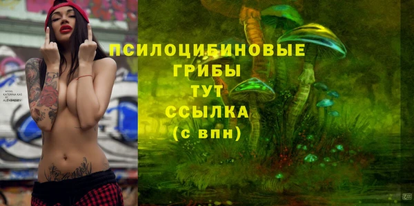 ПСИЛОЦИБИНОВЫЕ ГРИБЫ Волоколамск